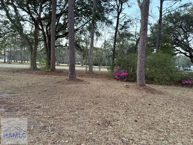 250 Topi Trail, Hinesville, GA 31313