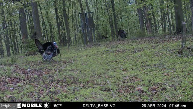 11915 COVE RD, Clear Spring, MD 21722