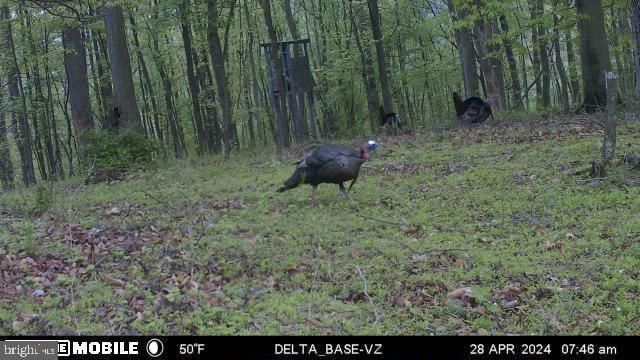 11915 COVE RD, Clear Spring, MD 21722