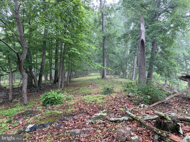 11915 COVE RD, Clear Spring, MD 21722