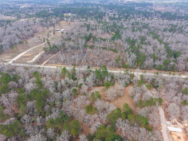 21251 Doru Drive, Cleveland, TX 77328