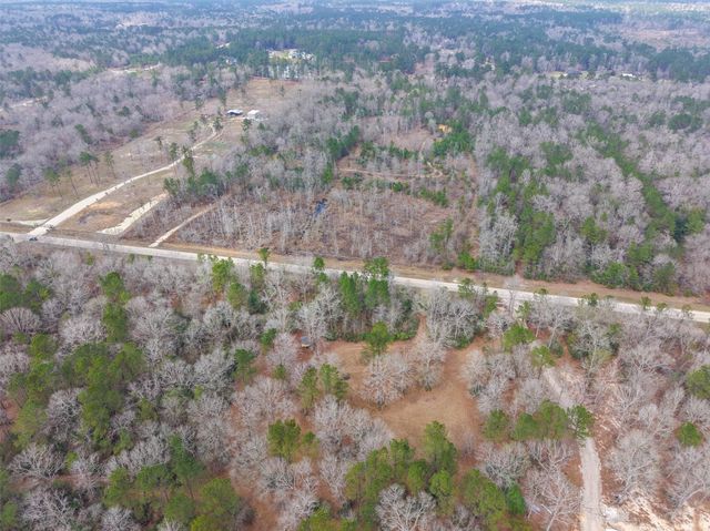 21251 Doru Drive, Cleveland, TX 77328