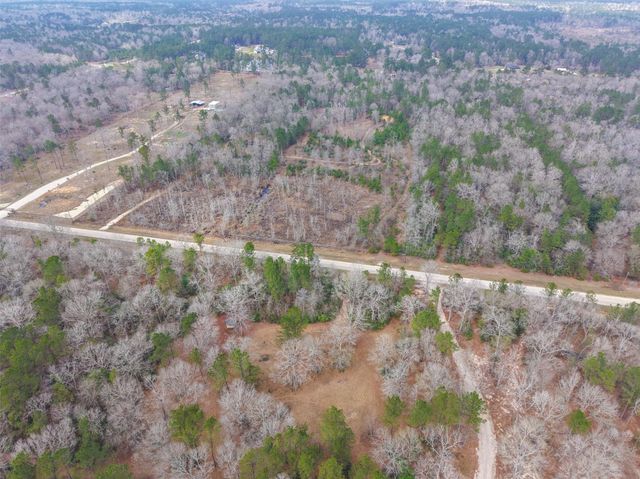 21251 Doru Drive, Cleveland, TX 77328