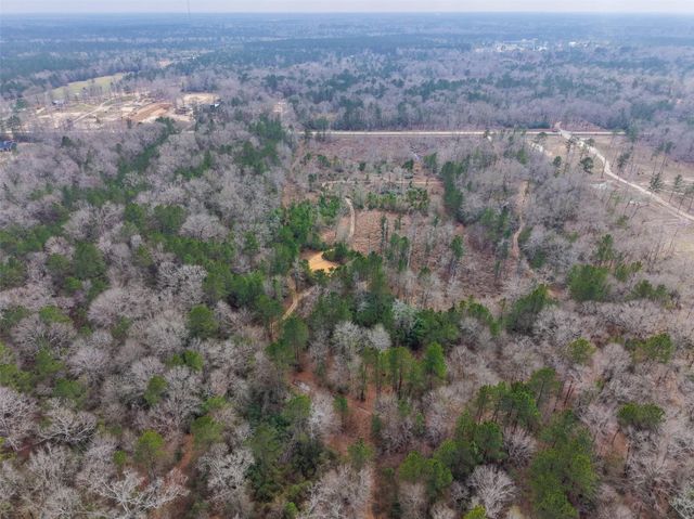 21251 Doru Drive, Cleveland, TX 77328