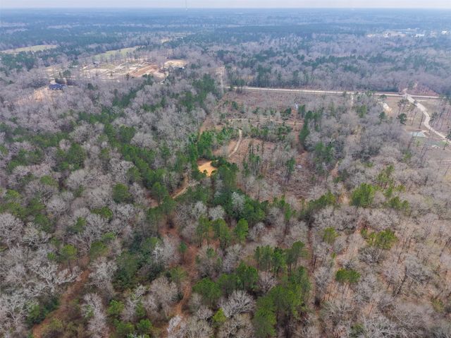 21251 Doru Drive, Cleveland, TX 77328