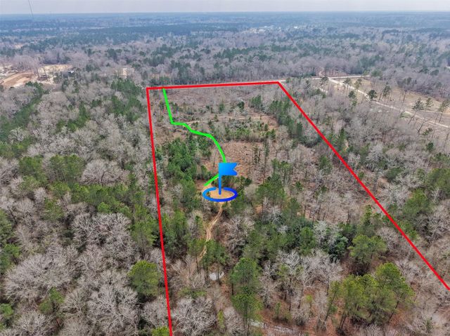 21251 Doru Drive, Cleveland, TX 77328