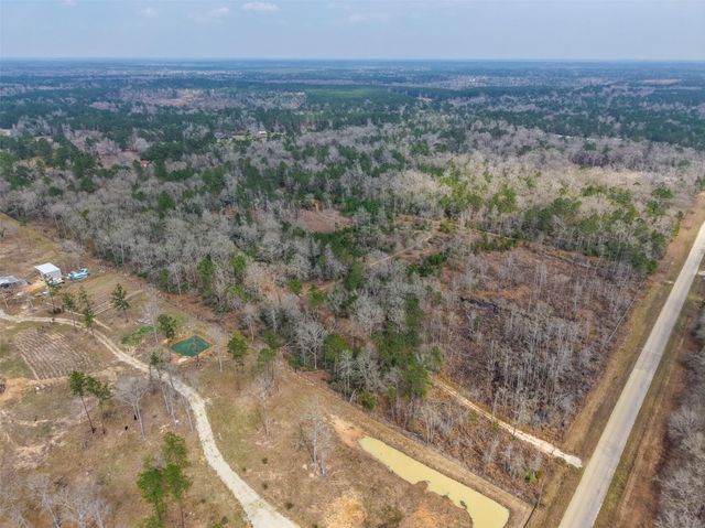 21251 Doru Drive, Cleveland, TX 77328