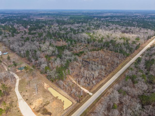 21251 Doru Drive, Cleveland, TX 77328