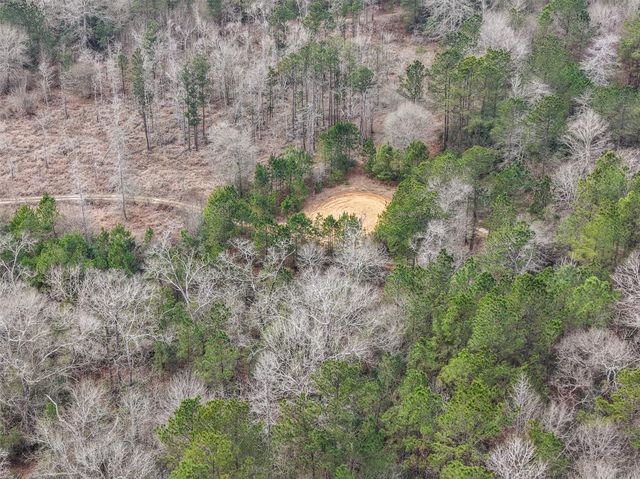 21251 Doru Drive, Cleveland, TX 77328