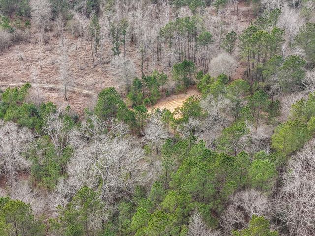 21251 Doru Drive, Cleveland, TX 77328