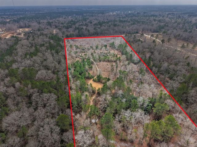 21251 Doru Drive, Cleveland, TX 77328