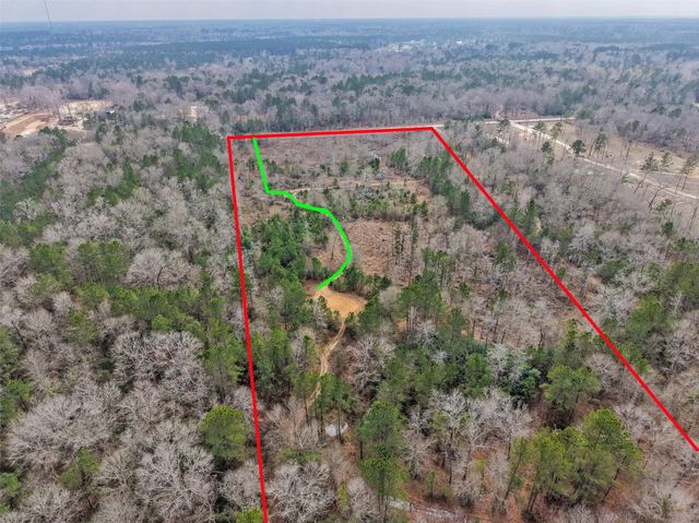 21251 Doru Drive, Cleveland, TX 77328