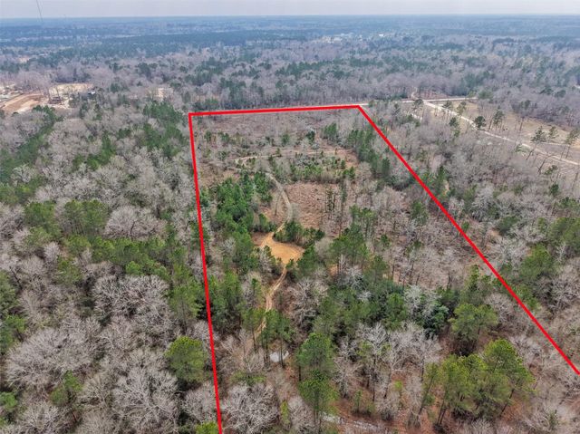 21251 Doru Drive, Cleveland, TX 77328