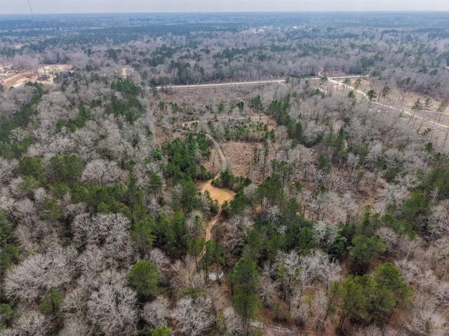 21251 Doru Drive, Cleveland, TX 77328