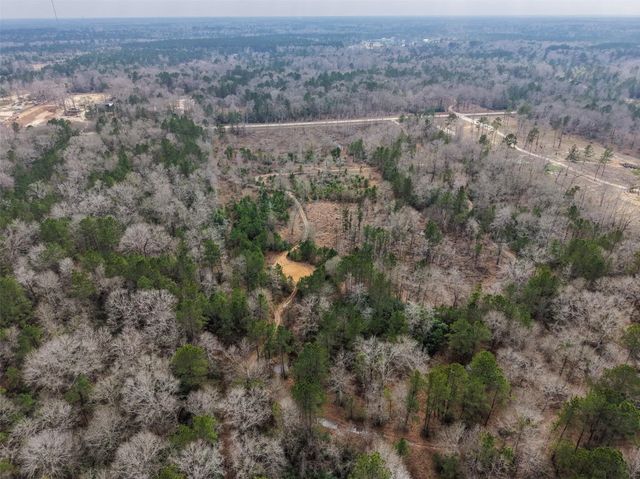 21251 Doru Drive, Cleveland, TX 77328