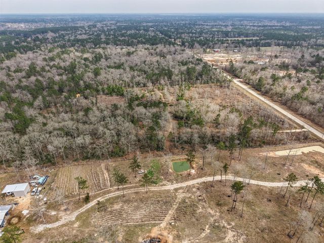 21251 Doru Drive, Cleveland, TX 77328