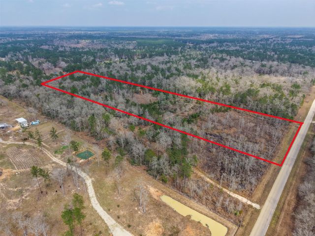 21251 Doru Drive, Cleveland, TX 77328