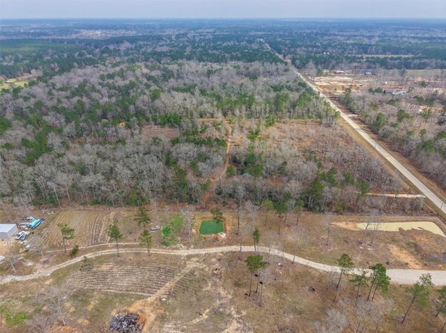 21251 Doru Drive, Cleveland, TX 77328