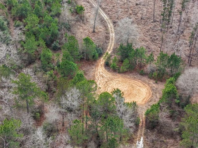 21251 Doru Drive, Cleveland, TX 77328