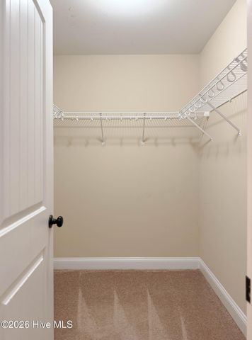 167 Hydrangea Lane, Hampstead, NC 28443