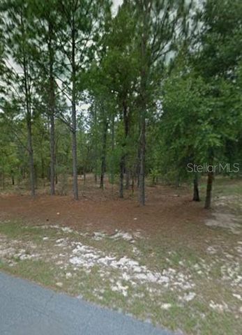 1204 W FAN DRIVE, Citrus Springs, FL 34434