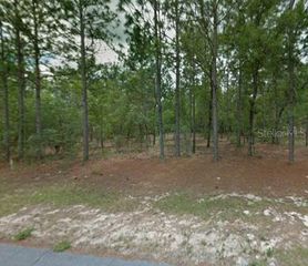 1204 W FAN DRIVE, Citrus Springs, FL 34434