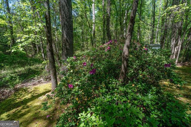 234 Concord Drive, Watkinsville, GA 30677