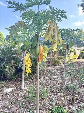 2098 BRENT PLACE, Palm Harbor, FL 34683