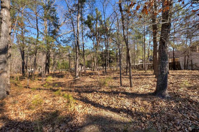 188 Cane Brake Dr, Columbia, SC 29223