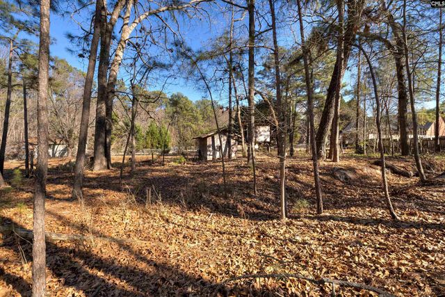 188 Cane Brake Dr, Columbia, SC 29223