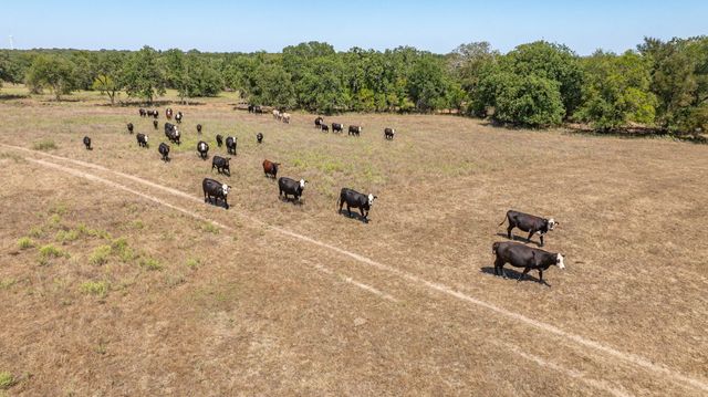 9815 County Road 401 114, Dublin, TX 76446