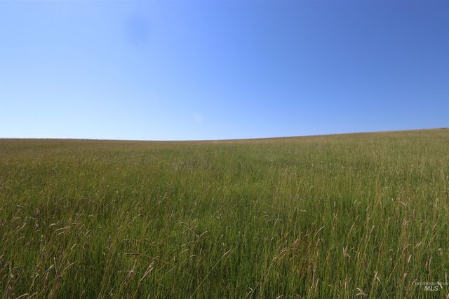 TBD Stuart Road, Parcel A, Orofino, ID 83544