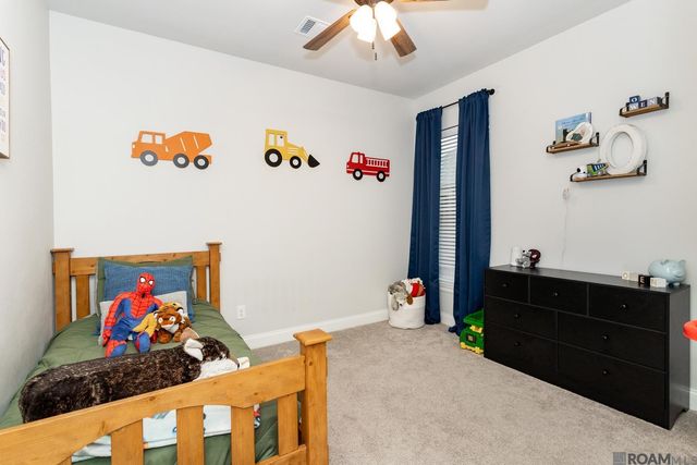 13330 Belle Prairie Dr, Geismar, LA 70734