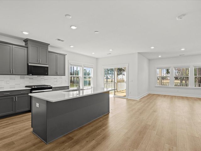 446 Radiant Blue Way, Summerville, SC 29486