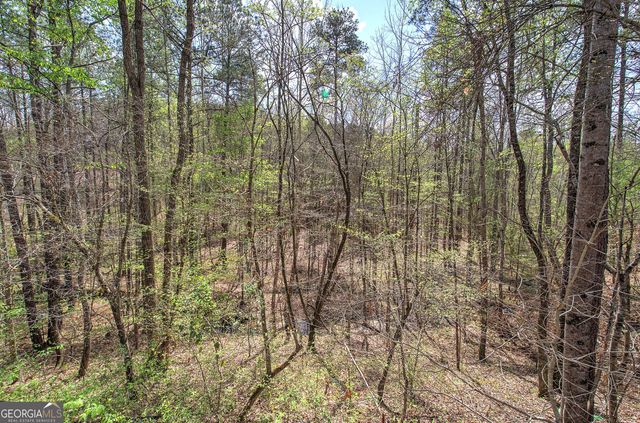 507 Longwood Place, Dallas, GA 30132