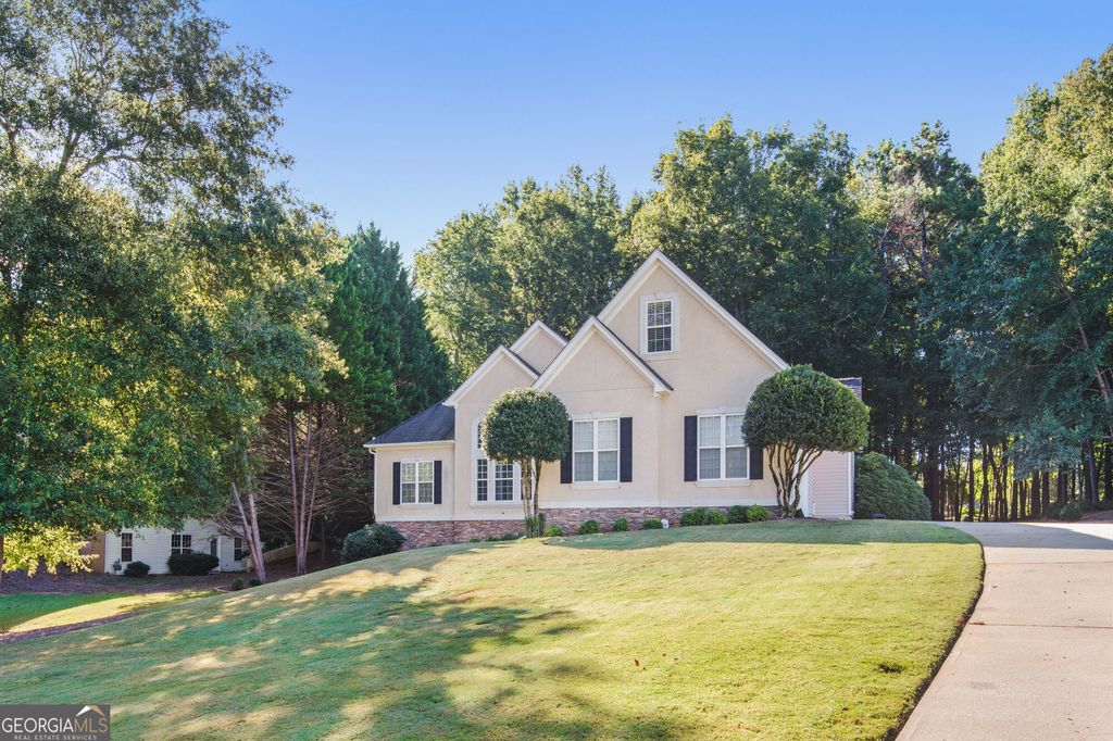 245 Ryans Court, Sharpsburg, GA 30277 — exterior