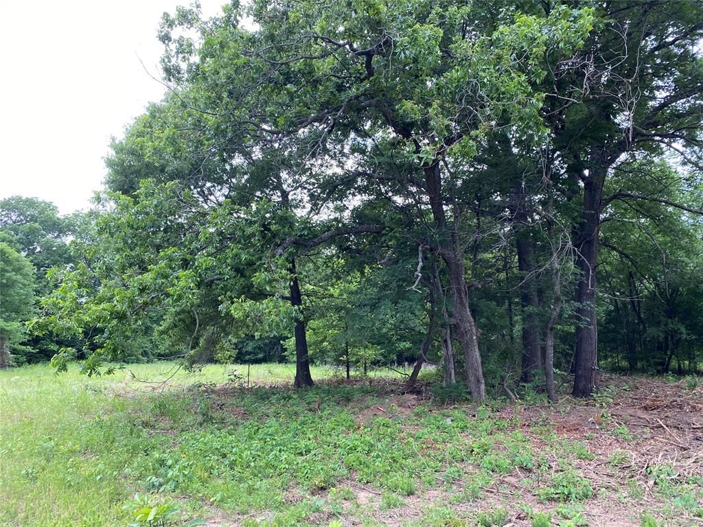 Image 5 of property listing at 2385 HWY 75, Wetumka, OK 74883