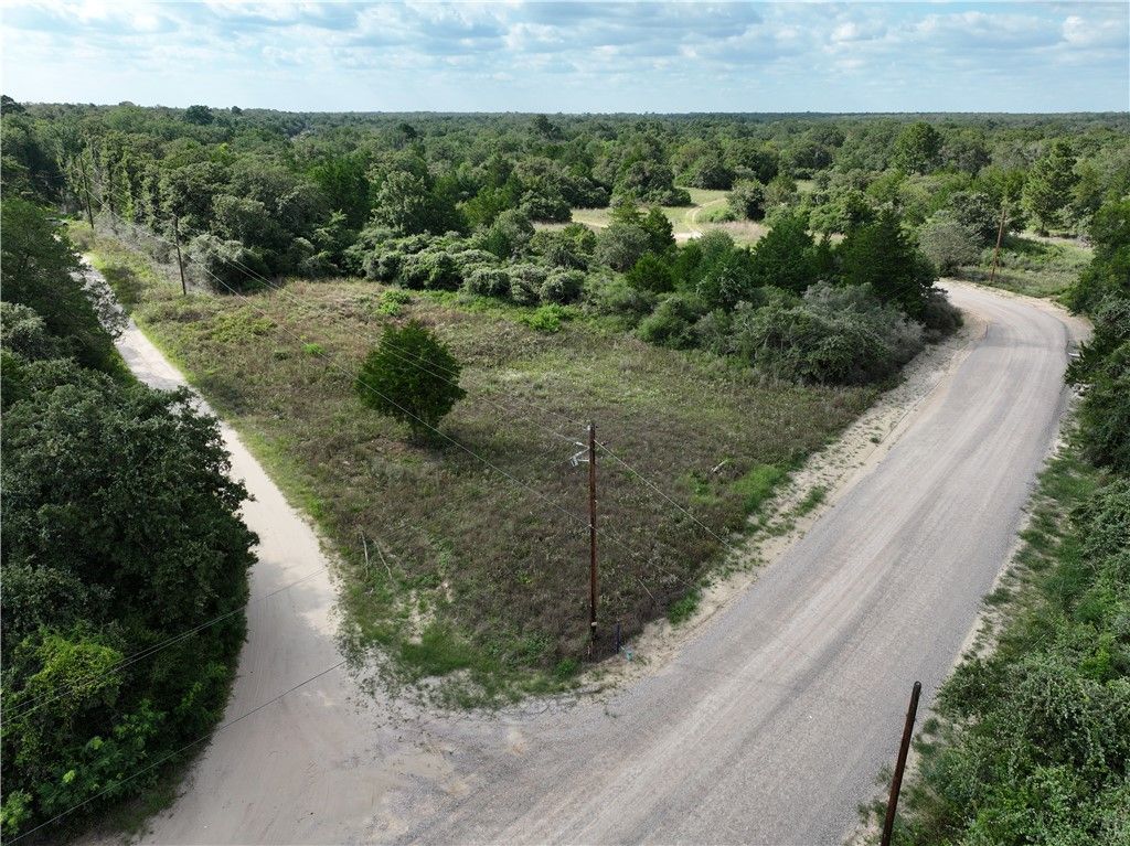 TBD Fir Drive, Caldwell, TX 77836 — photo 4