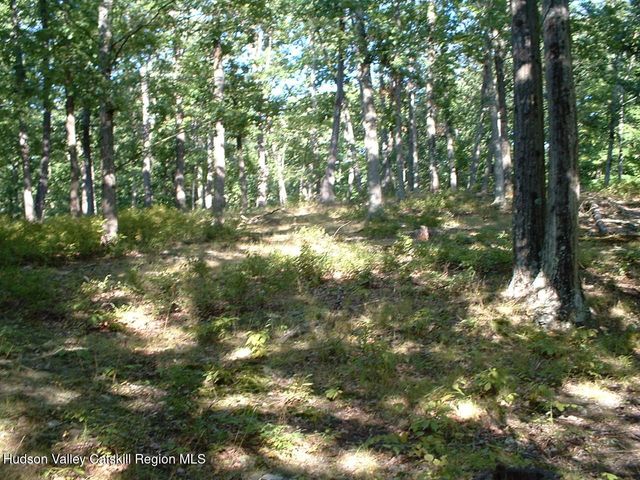 94 Miller Road Road, Hudson, NY 12534