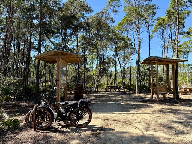 187 Williams Street, Santa Rosa Beach, FL 32459