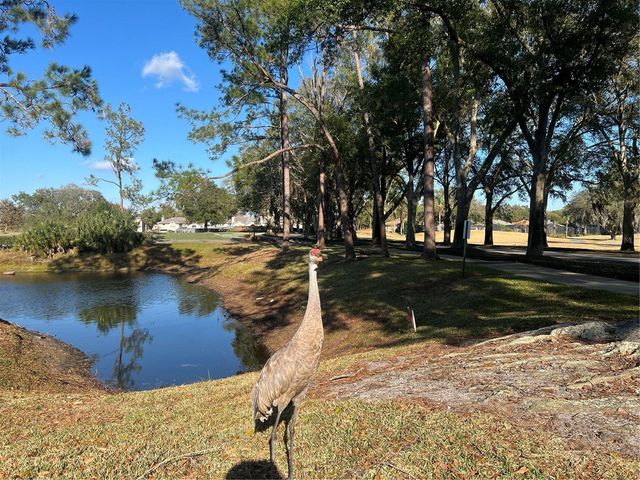 443 HAMPTONCREST CIRCLE 305, Lake Mary, FL 32746