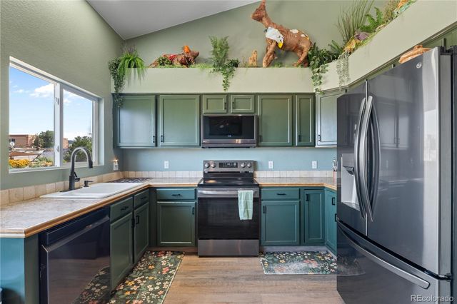 16315 Windy Creek Drive, Monument, CO 80132