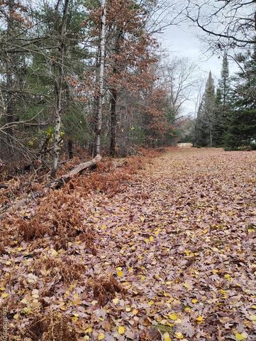 10302 S Grayling Road, Roscommon, MI 48653