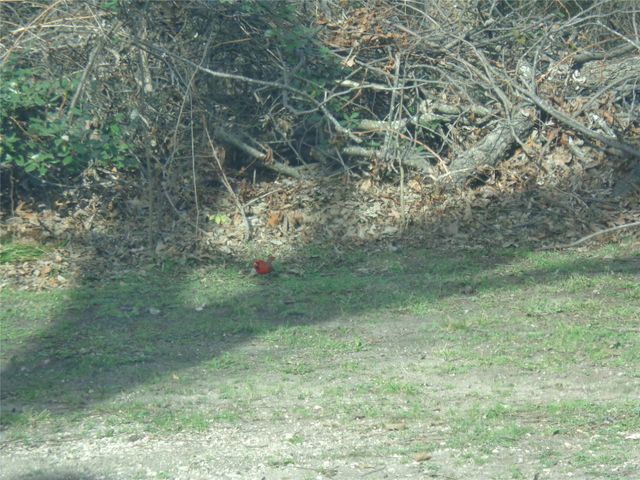 506 S 3rd Street, Grandview, TX 76050