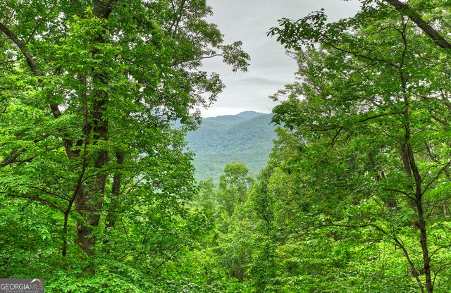 415 Walnut Mountain Road, Ellijay, GA 30536