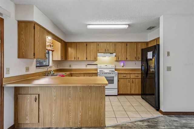 931 CR 457A, Lake Panasoffkee, FL 33538