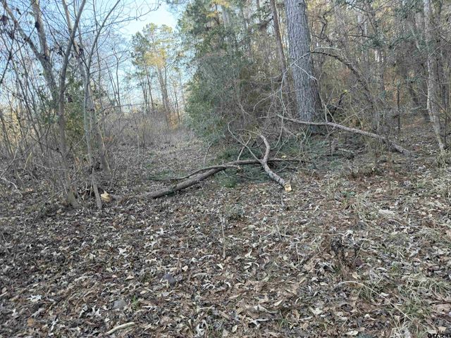 931 CR 1627, Rusk, TX 75785