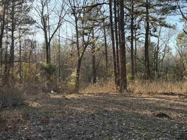 931 CR 1627, Rusk, TX 75785