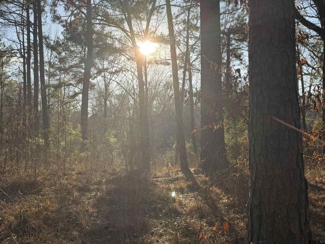 931 CR 1627, Rusk, TX 75785