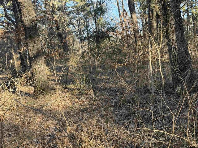 931 CR 1627, Rusk, TX 75785